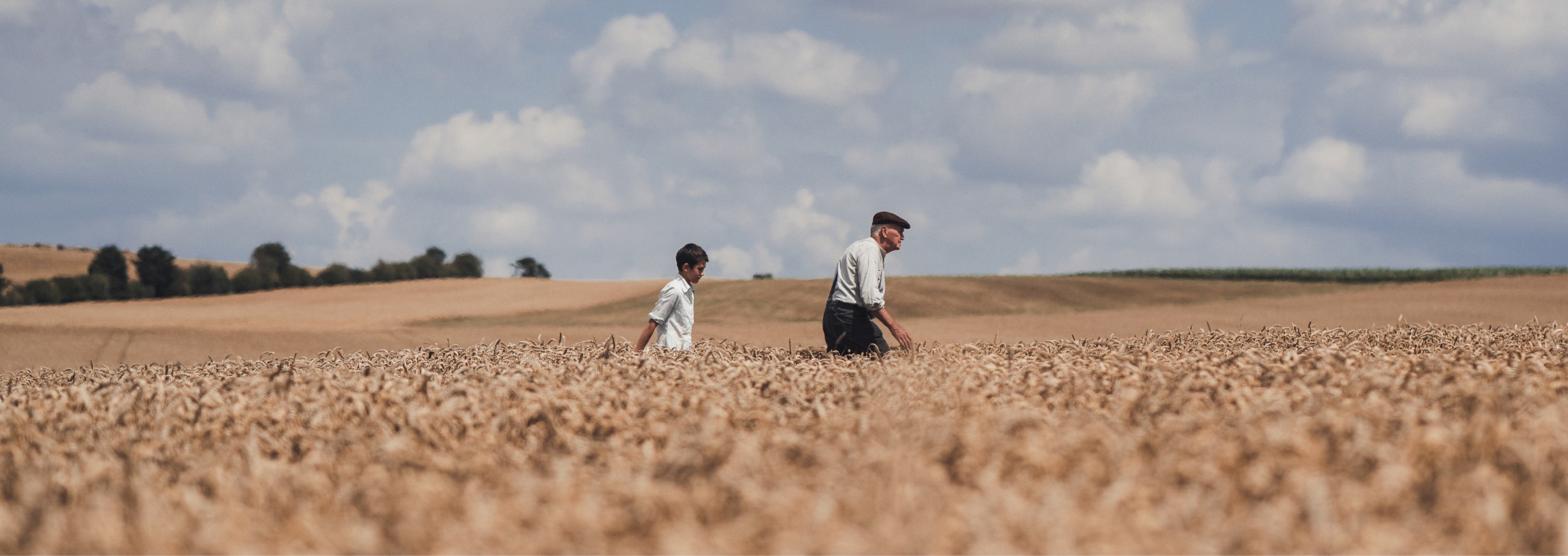 homme et enfant dans un champ de blé