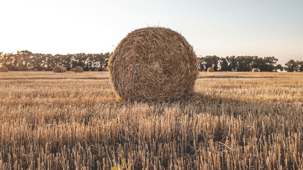 Moisson-2026-botte-foin